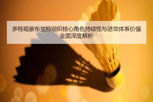 多特观察布兰特组织核心角色持续性与进攻体系价值全面深度解析 - kaiyun